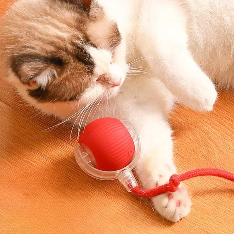 [Hometech] Motorized Rolling Cat Toy with Fiber Tail Design