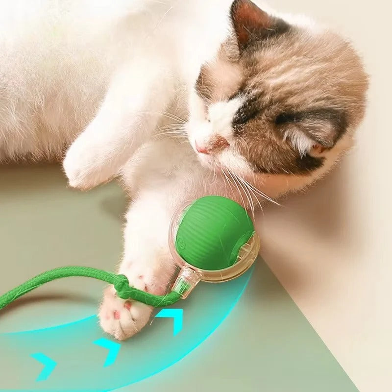 [Hometech] Motorized Rolling Cat Toy with Fiber Tail Design