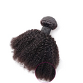 [Hometech] Brazilian Virgin Human Hair Bundles of Afro Kinky Curly Style