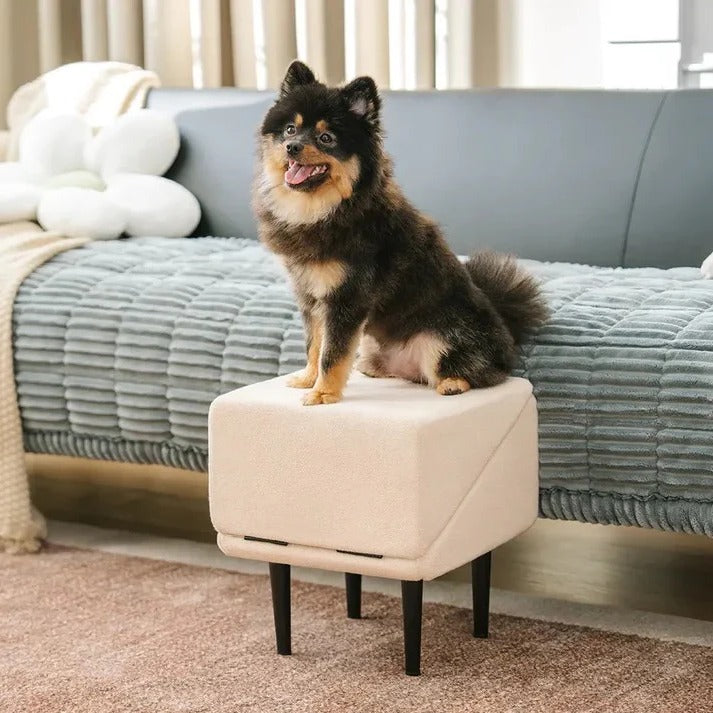 [Hometech] Adjustable 2 in 1 Pet Ramp and Step Stool