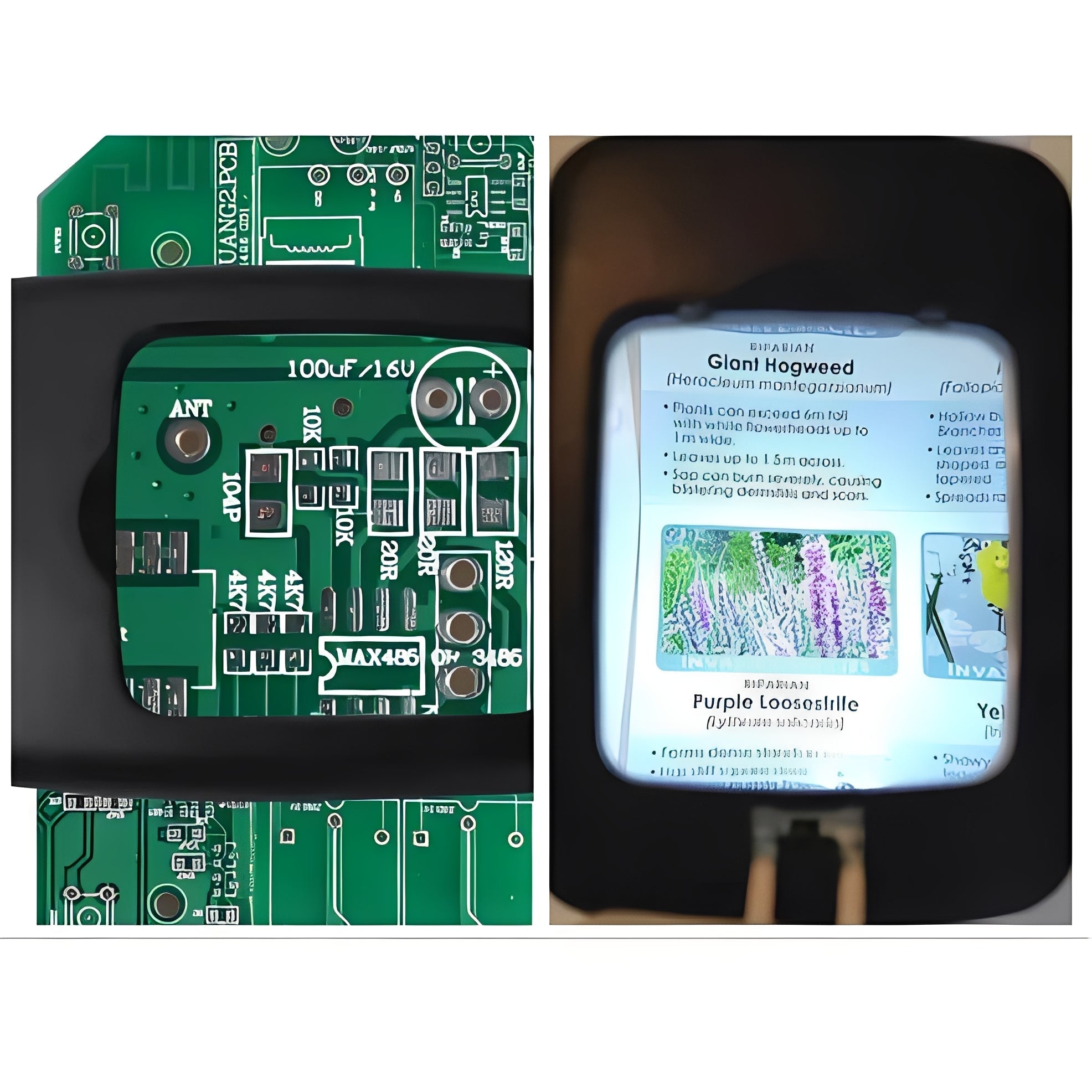 [Hometech] Adjustable Floor Magnifier with Large Viewing Lens and LEDs