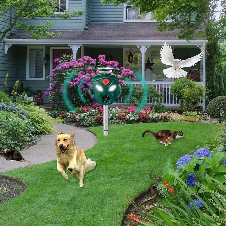 [Hometech] Solar Ultrasonic Animal Repeller with 360 Degree Coverage