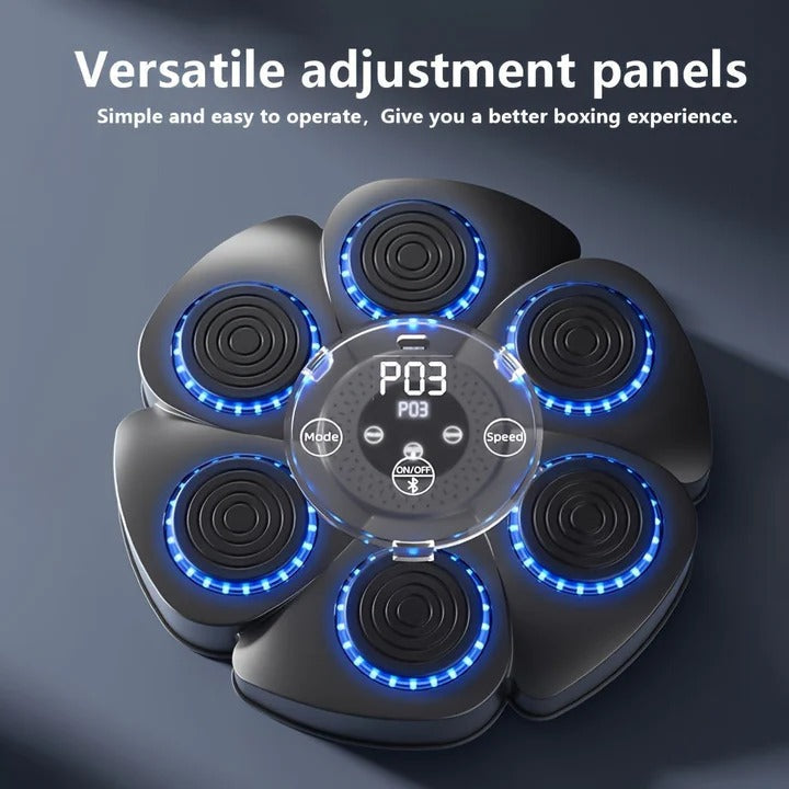 [Hometech] Wall Mounted USB Rechargeable Music Boxing Target