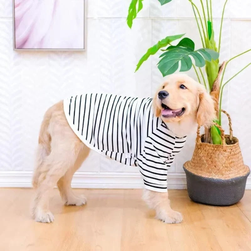 [Hometech] Large Breed Dog Shirt with Breathable Cotton Fabric