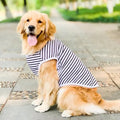 [Hometech] Large Breed Dog Shirt with Breathable Cotton Fabric