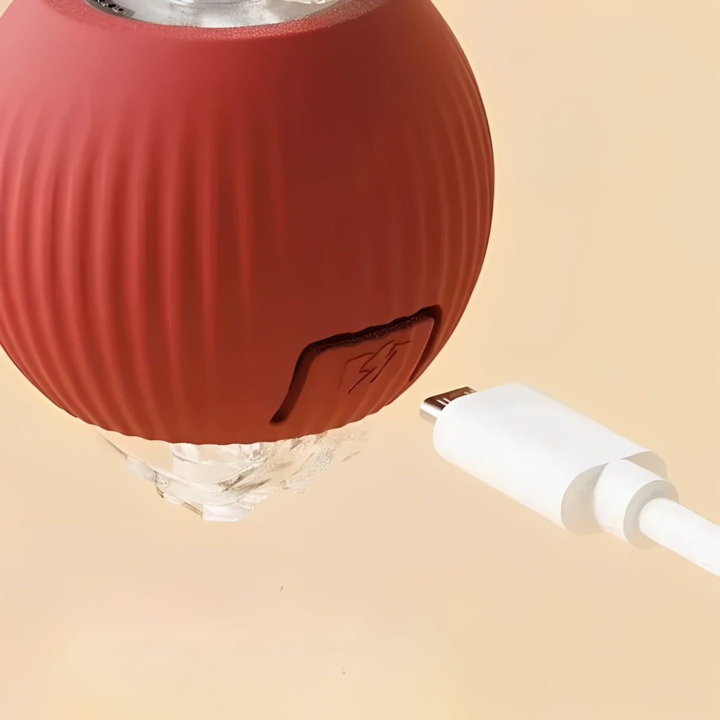 [Hometech] Interactive Rolling Ball Toy with Tail for Dogs