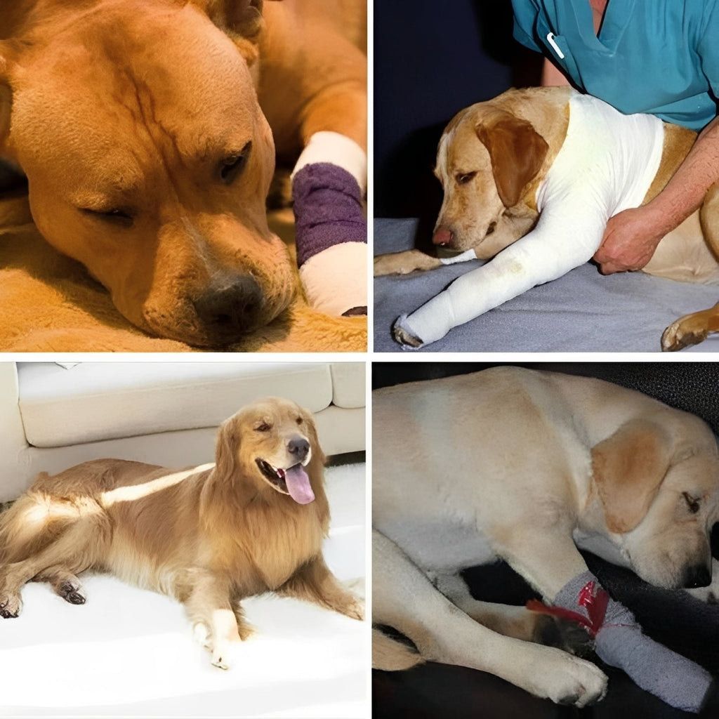 [Hometech] Dog Leg Support Brace with Adjustable Straps