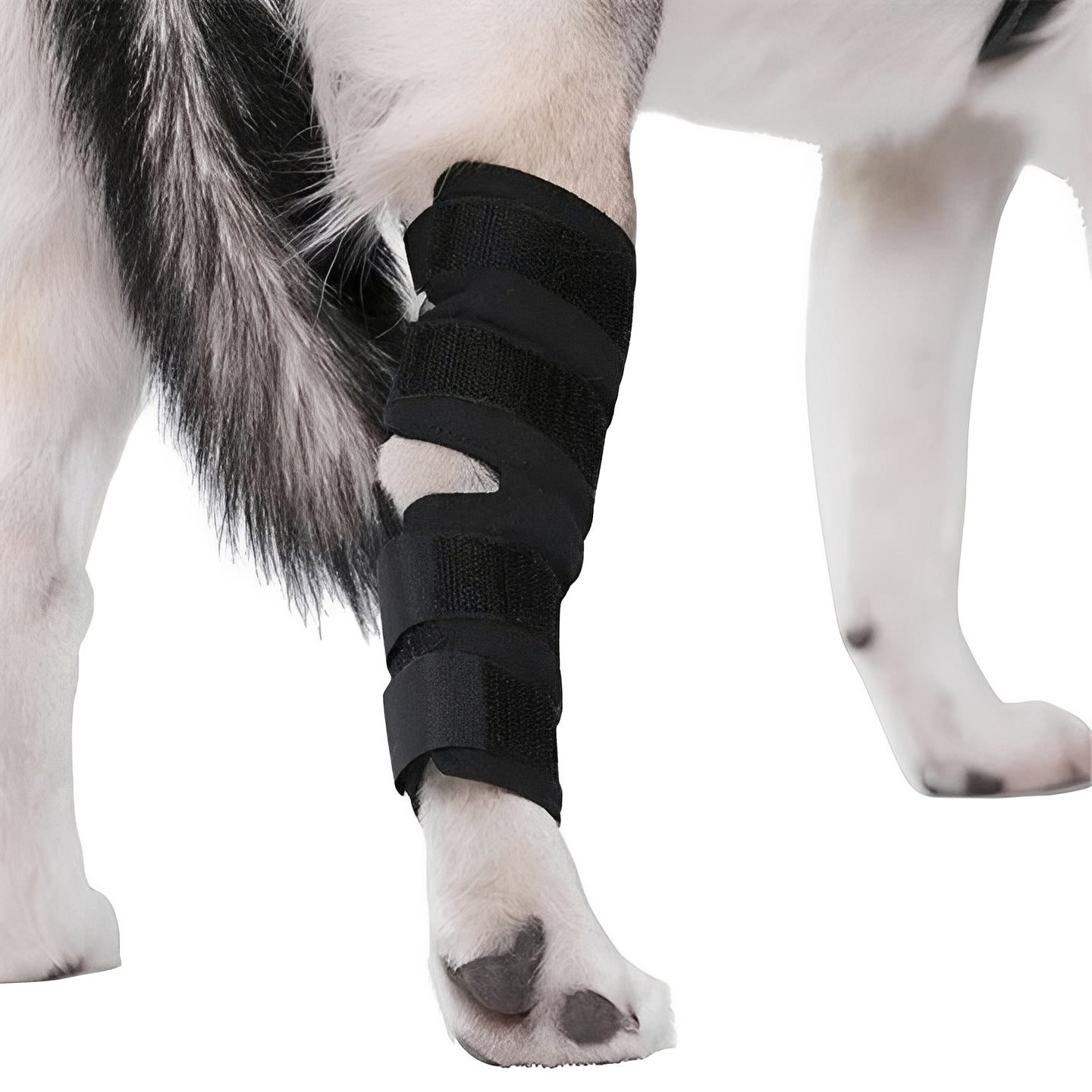 [Hometech] Dog Leg Support Brace with Adjustable Straps