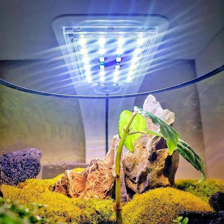 [Hometech] Slim LED Aquarium Light for Fish Tanks and Plants