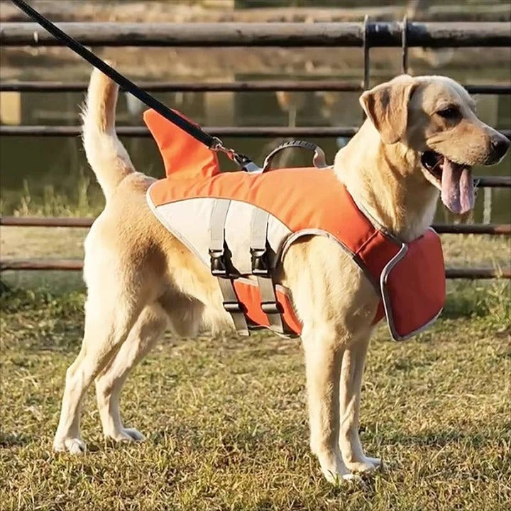 [Hometech] Floating Life Jacket for Dogs with Buoyancy Support