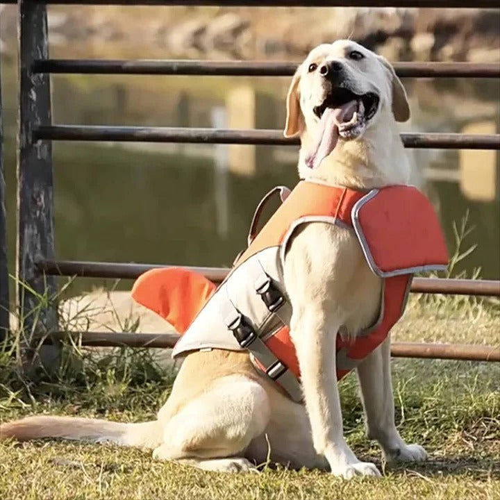 [Hometech] Floating Life Jacket for Dogs with Buoyancy Support