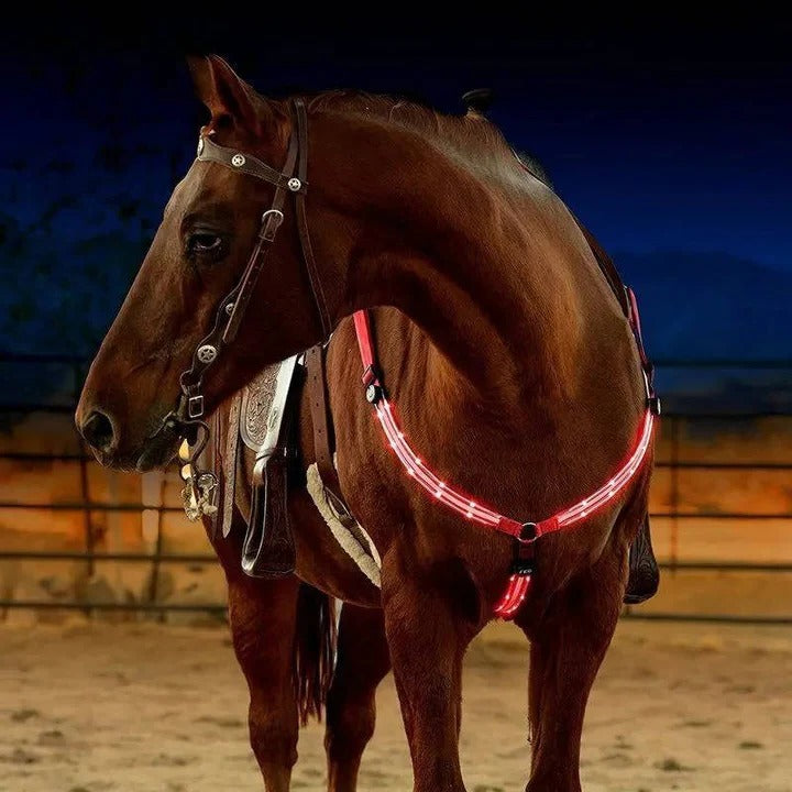 [Hometech] LED Light Up Breast Collar for Horses