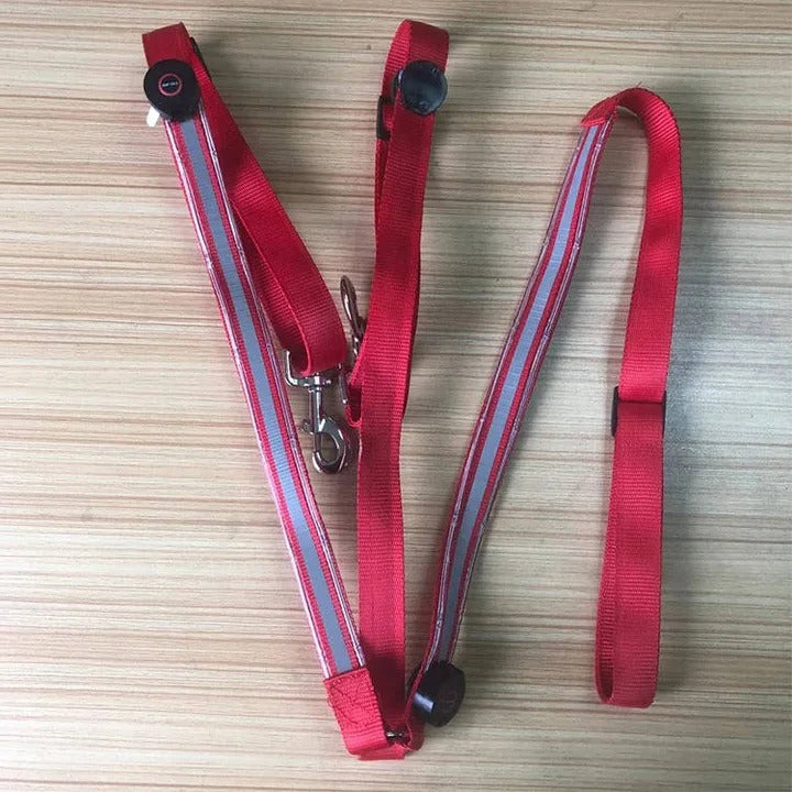 [Hometech] LED Light Up Breast Collar for Horses