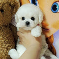[Hometech] Realistic Plush Puppy Toy with Soft Fur Texture