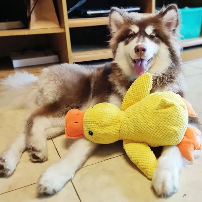 [Hometech] Duck Shaped Squeaky Dog Toy with Reinforced Stitching