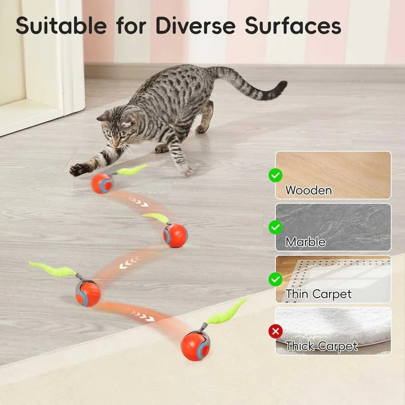 [Hometech] Cat Toys with Tail Design for Indoor Play, 2 Pack Set