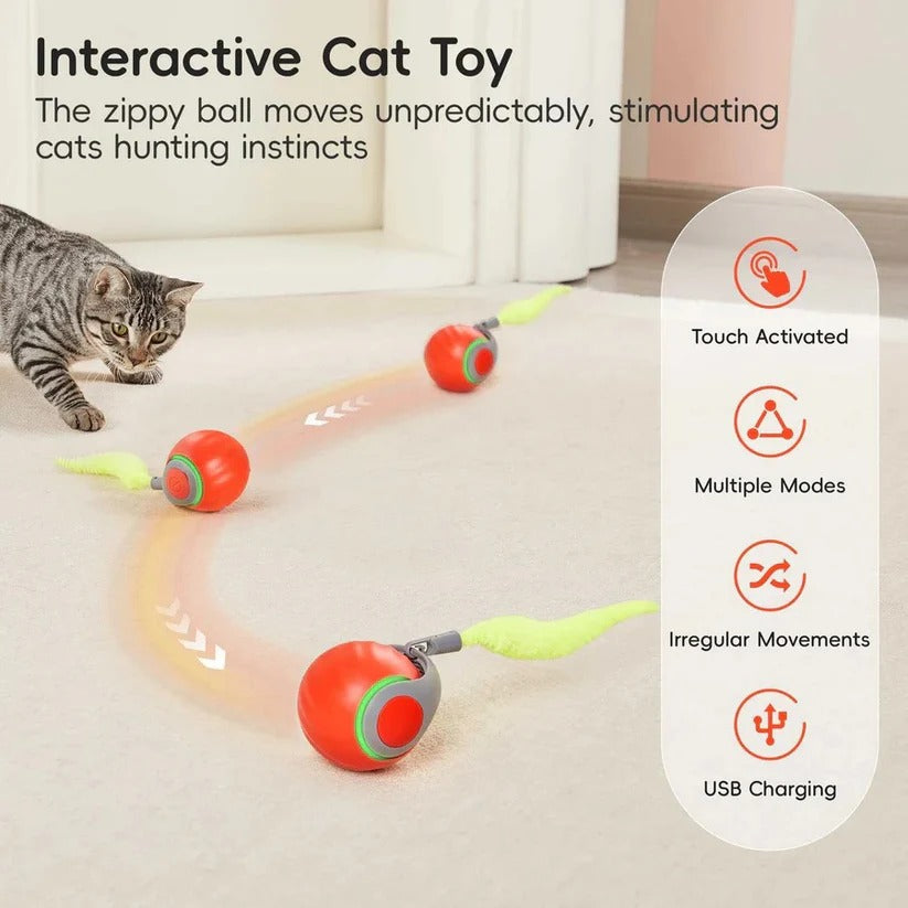 [Hometech] Cat Toys with Tail Design for Indoor Play, 2 Pack Set