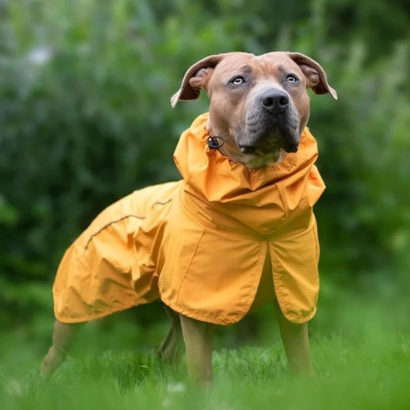 [Hometech] Waterproof Windproof Dog Rain Jacket with Reflective Full Body Coverage