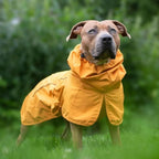 [Hometech] Waterproof Windproof Dog Rain Jacket with Reflective Full Body Coverage