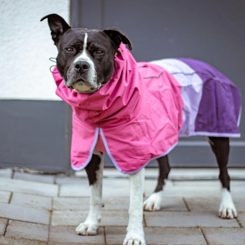 [Hometech] Waterproof Windproof Dog Rain Jacket with Reflective Full Body Coverage
