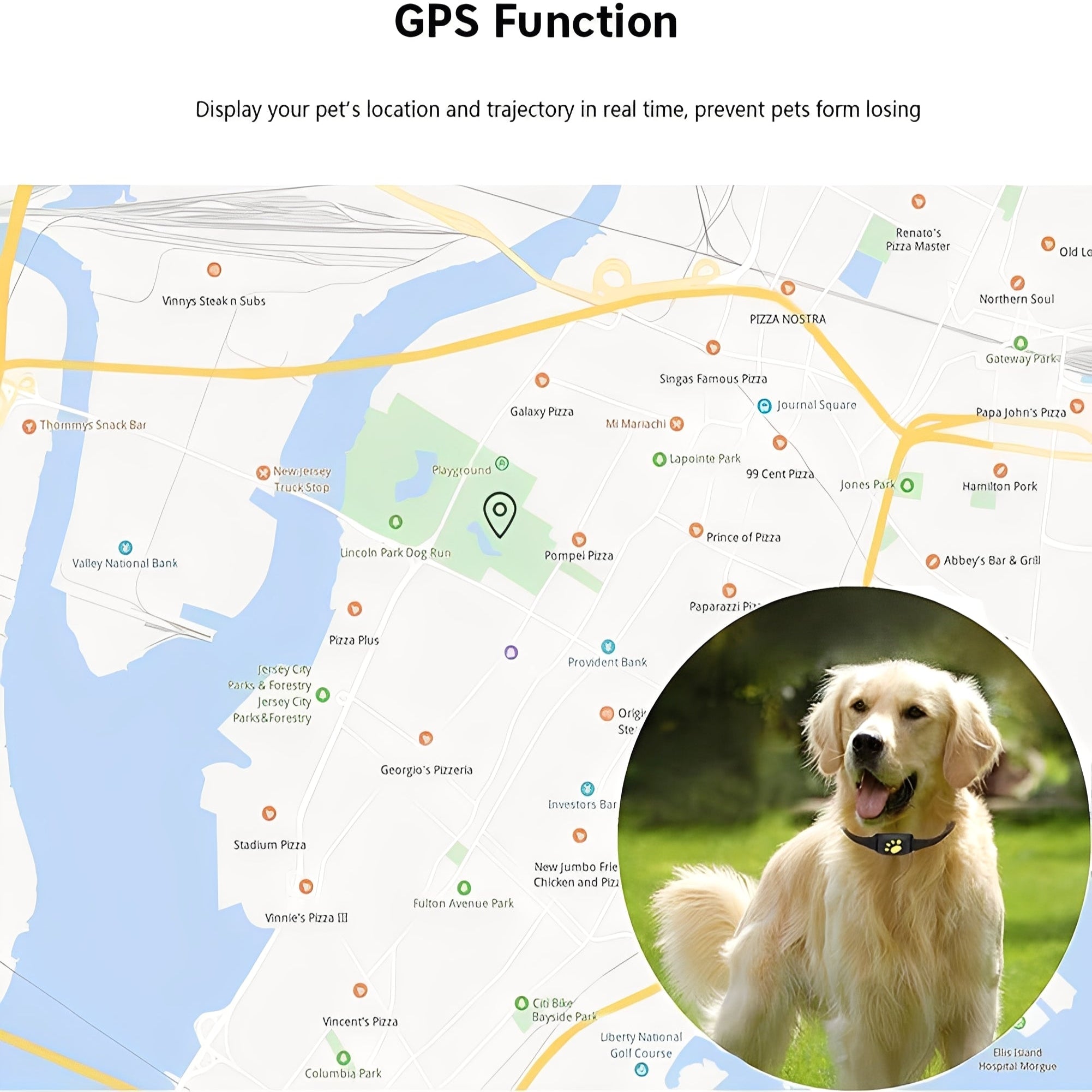 [Hometech] GPS Pet Collar with App Location Features and Adjustable Strap