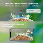 [Hometech] Smart Bird Feeder Camera with App Control and Night Vision