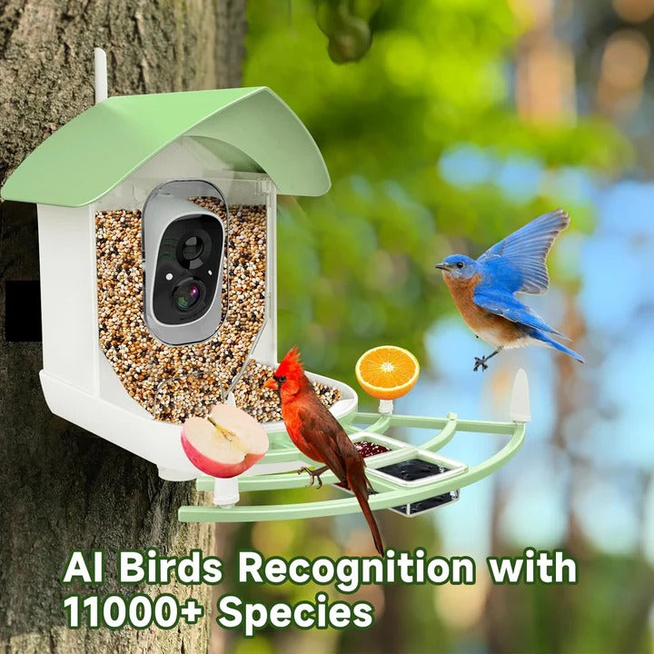 [Hometech] Smart Bird Feeder Camera with App Control and Night Vision