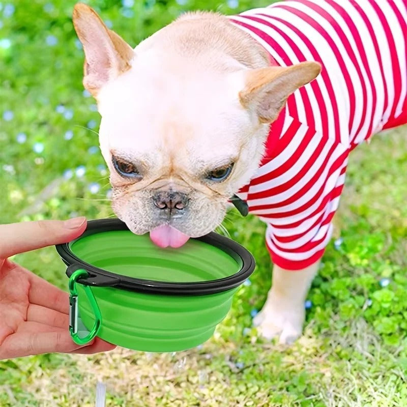 [Hometech] Portable Collapsible Silicone Pet Bowl for Dogs and Cats