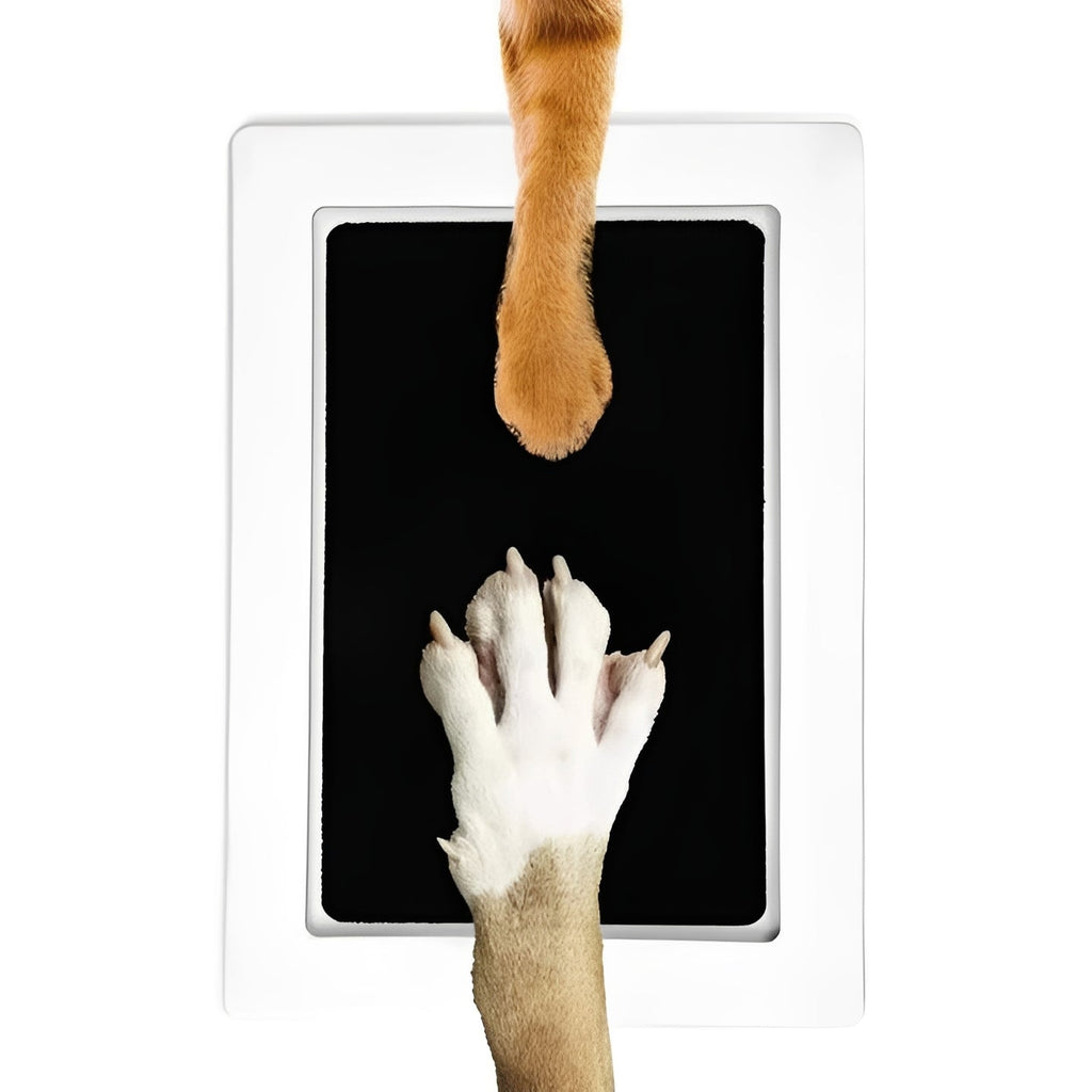 [Hometech] Pet Paw Print Impression Kit for Dogs