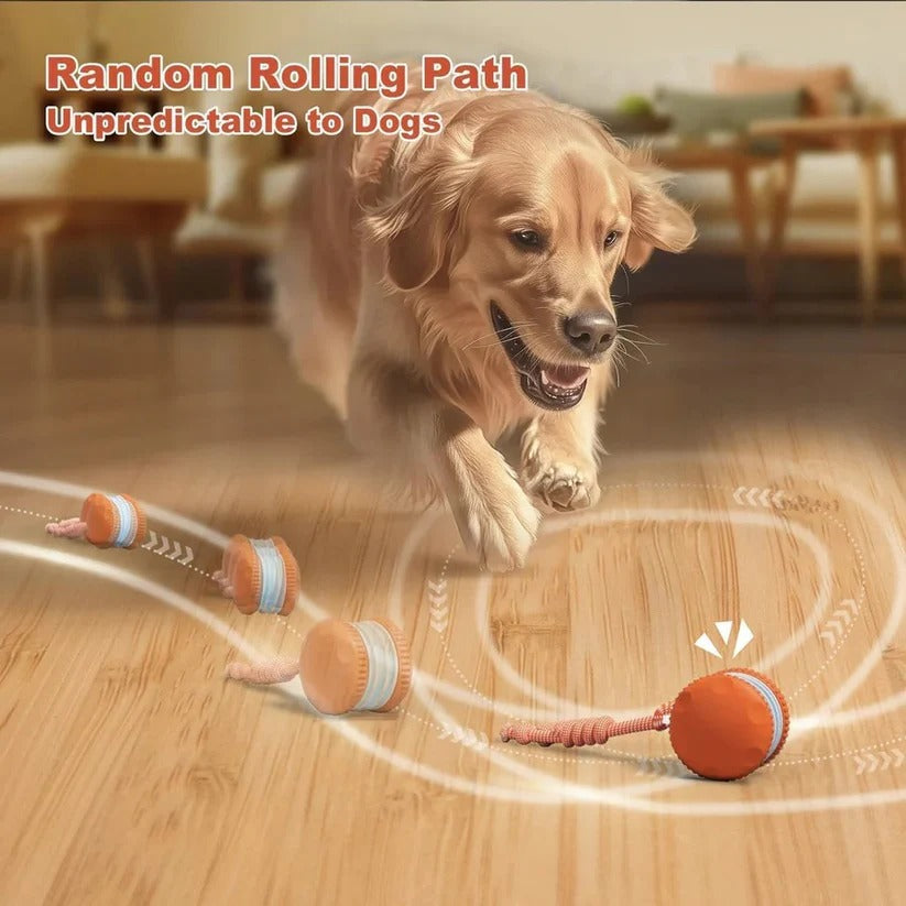 [Hometech] Automatic Rolling Ball Toy for Dogs with Rope, 2 Piece Set