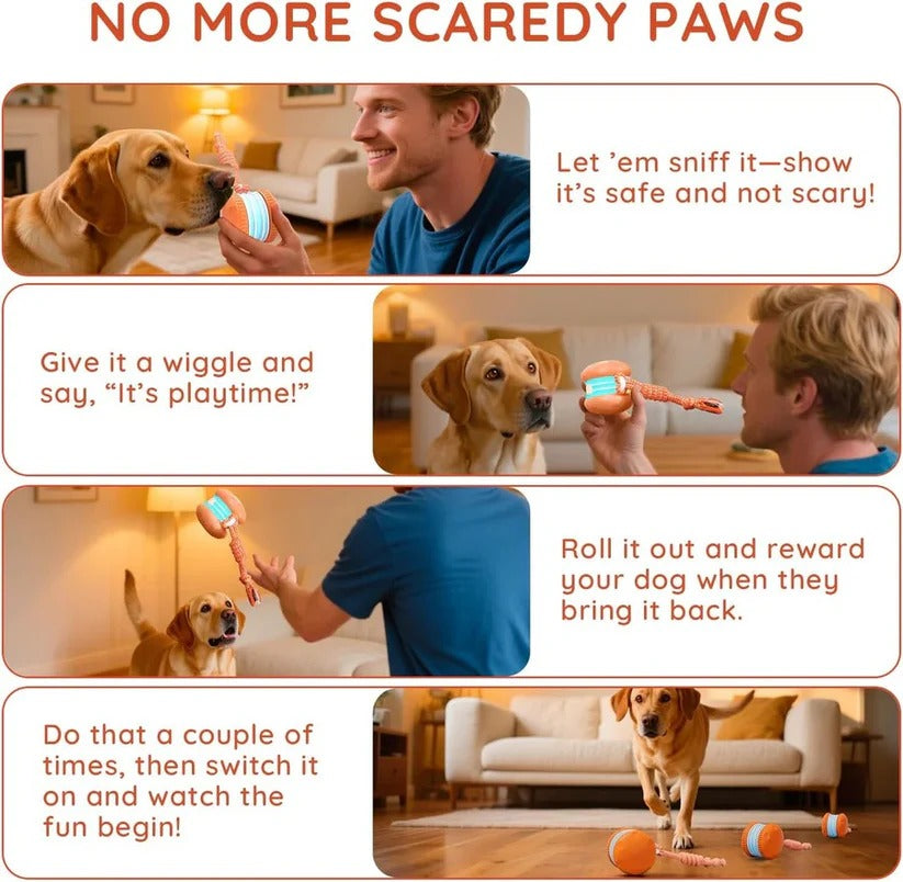 [Hometech] Automatic Rolling Ball Toy for Dogs with Rope, 2 Piece Set