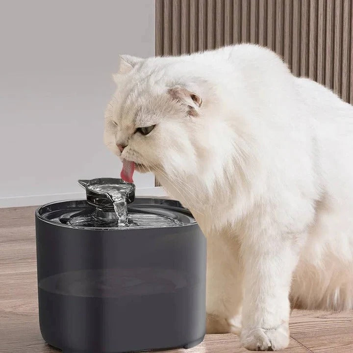 [Hometech] Automatic Cat Water Fountain with Filtration System