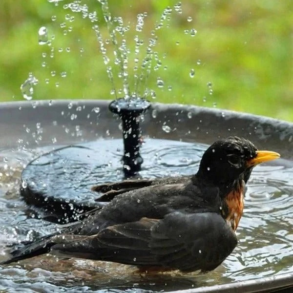 [Hometech] Floating Solar Water Fountain Pump for Pond