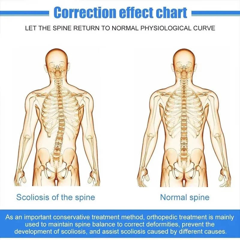 [Hometech] Adjustable Spinal Support Brace with Height Control and Posture Support