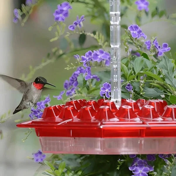 [Hometech] Hanging Hummingbird Feeder Ant Proof Design with Moat