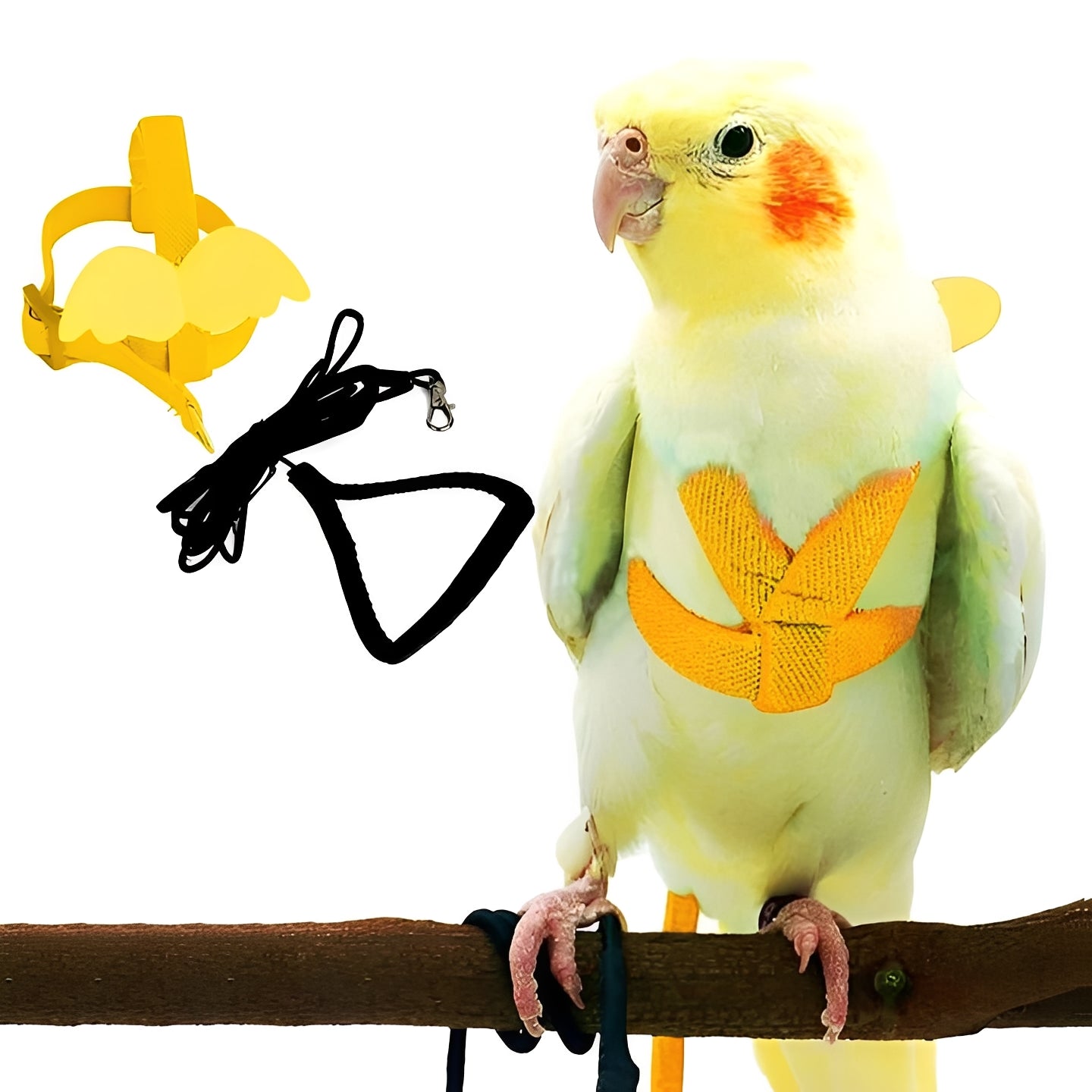 [Hometech] Bird Harness and Leash for Parrots
