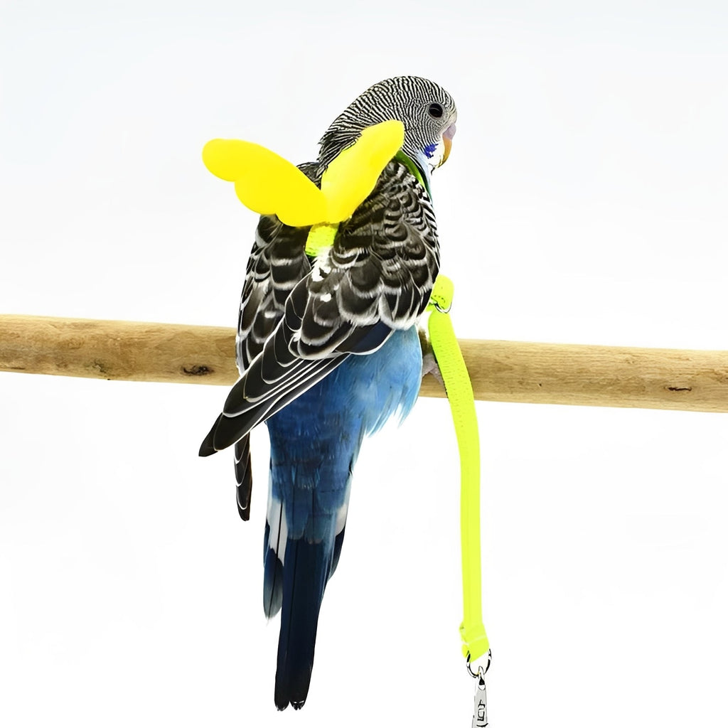 [Hometech] Bird Harness and Leash for Parrots