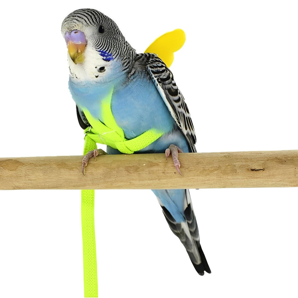 [Hometech] Bird Harness and Leash for Parrots