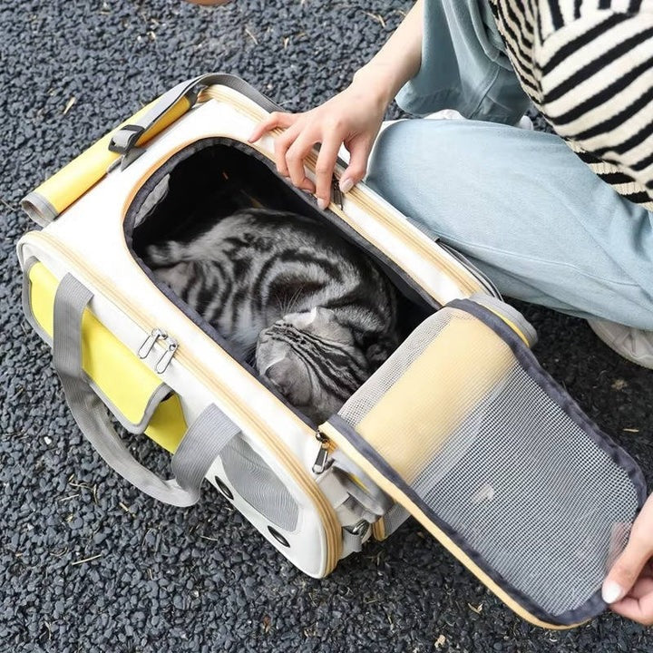 [Hometech] Pet Carrier for Cats and Small Dogs Travel