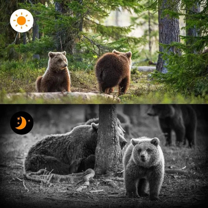 [Hometech] Trail Camera with PIR Motion Sensor and Infrared Night Capture