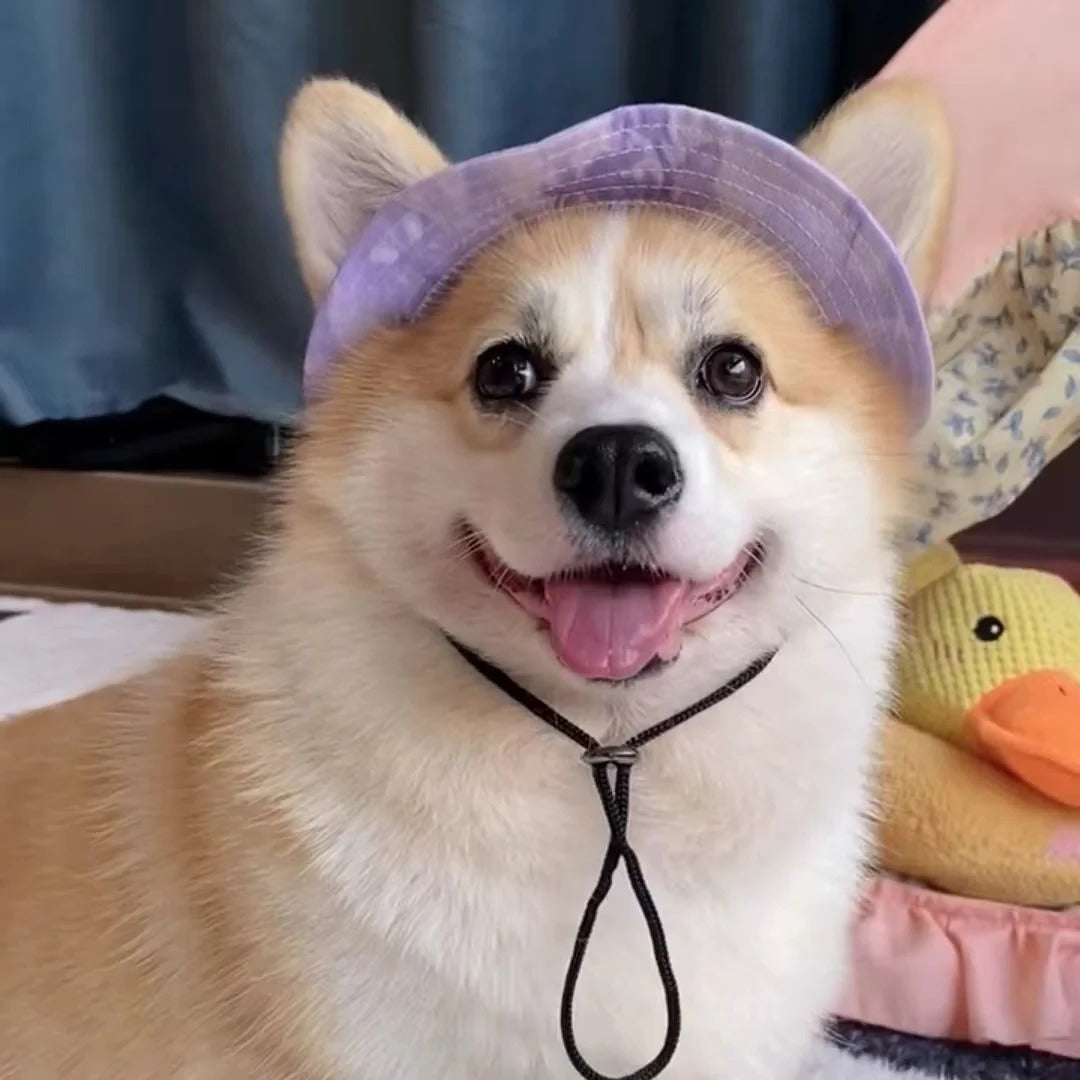 [Hometech] Pet Sun Hat with Adjustable Strap