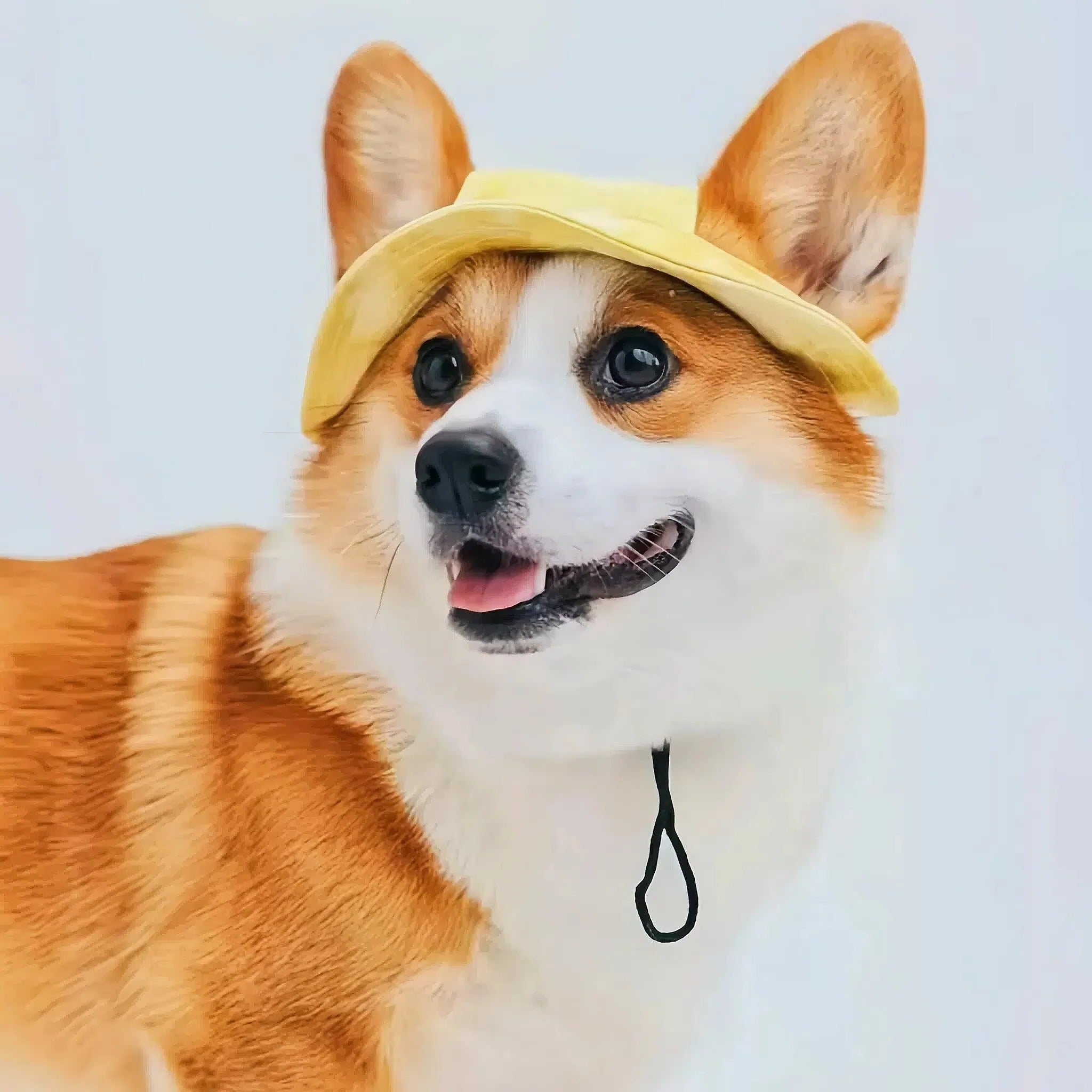 [Hometech] Pet Sun Hat with Adjustable Strap