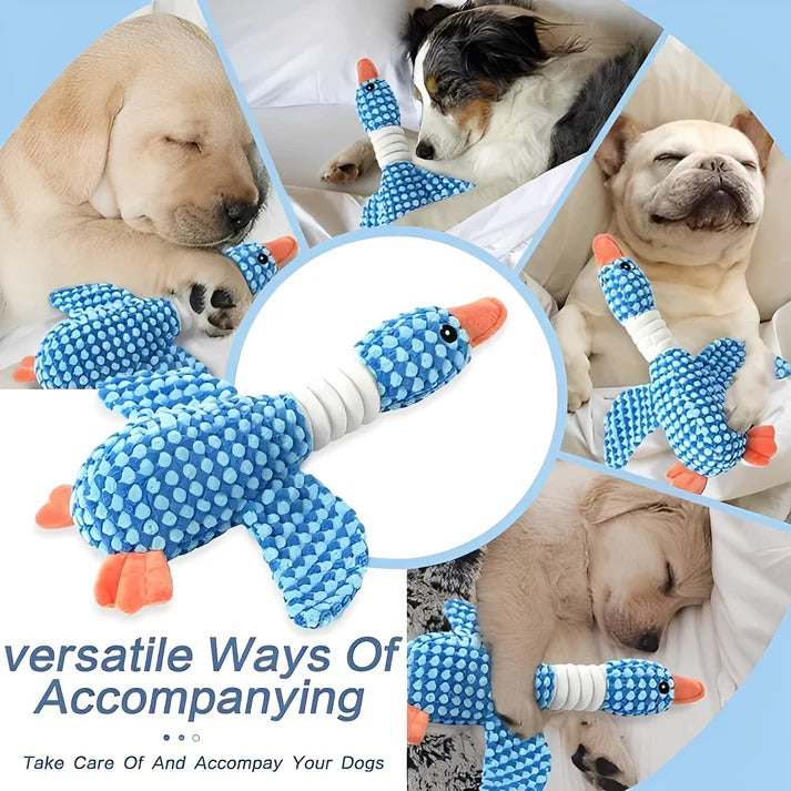 [Hometech] Dog Chew Toy with Plush Material and Built In Squeaker