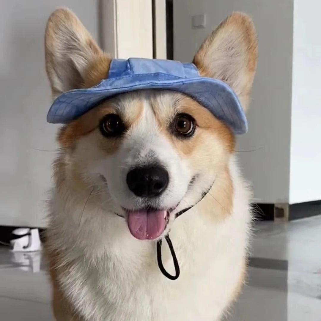 [Hometech] Pet Sun Hat with Adjustable Strap