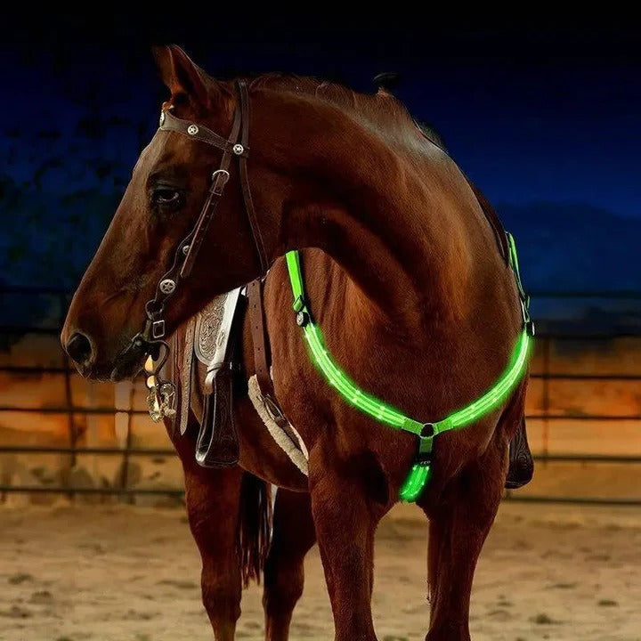 [Hometech] LED Light Up Breast Collar for Horses